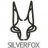 SilverFox4